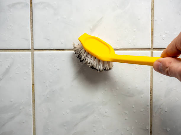 Best Mold Removal Near Me  in Broussard, LA