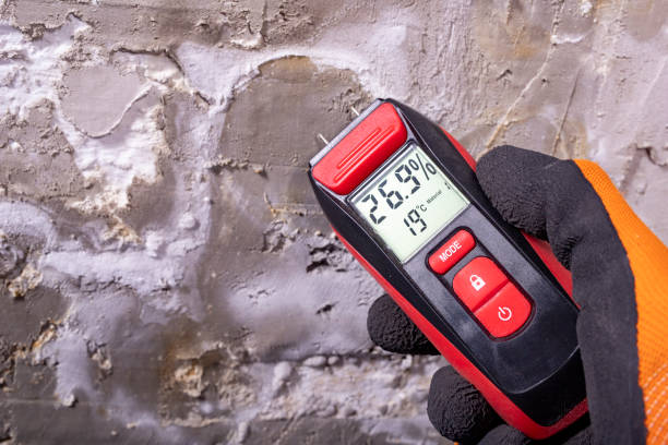 Best Mold Removal and Inspection  in Broussard, LA